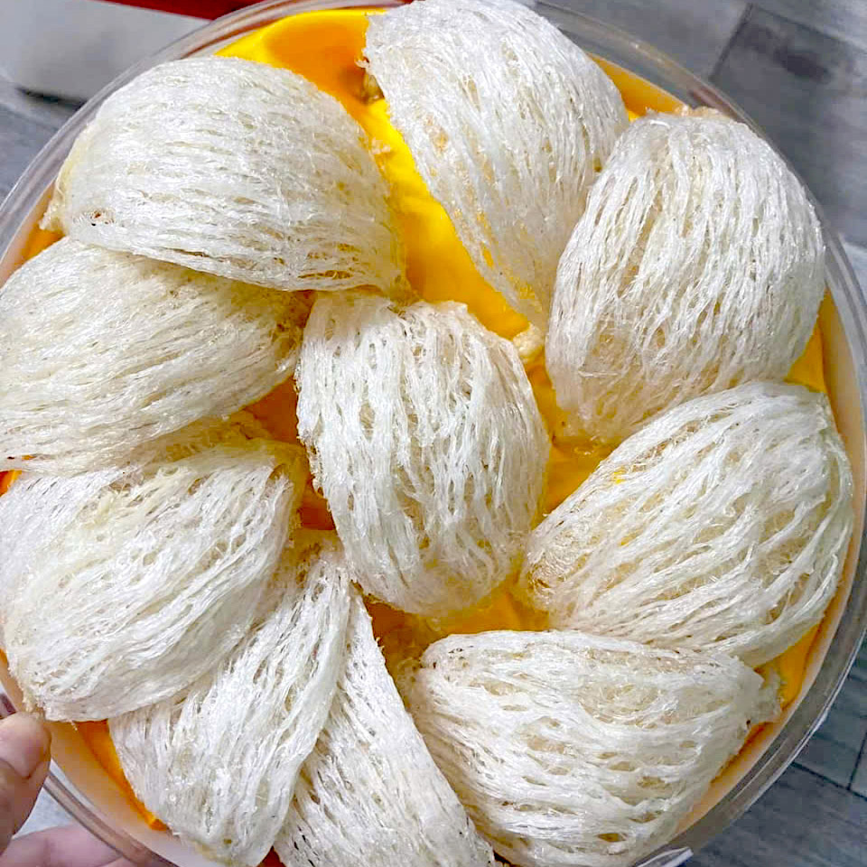 Yến Rút Lông Nguyên Tổ Là Gì?