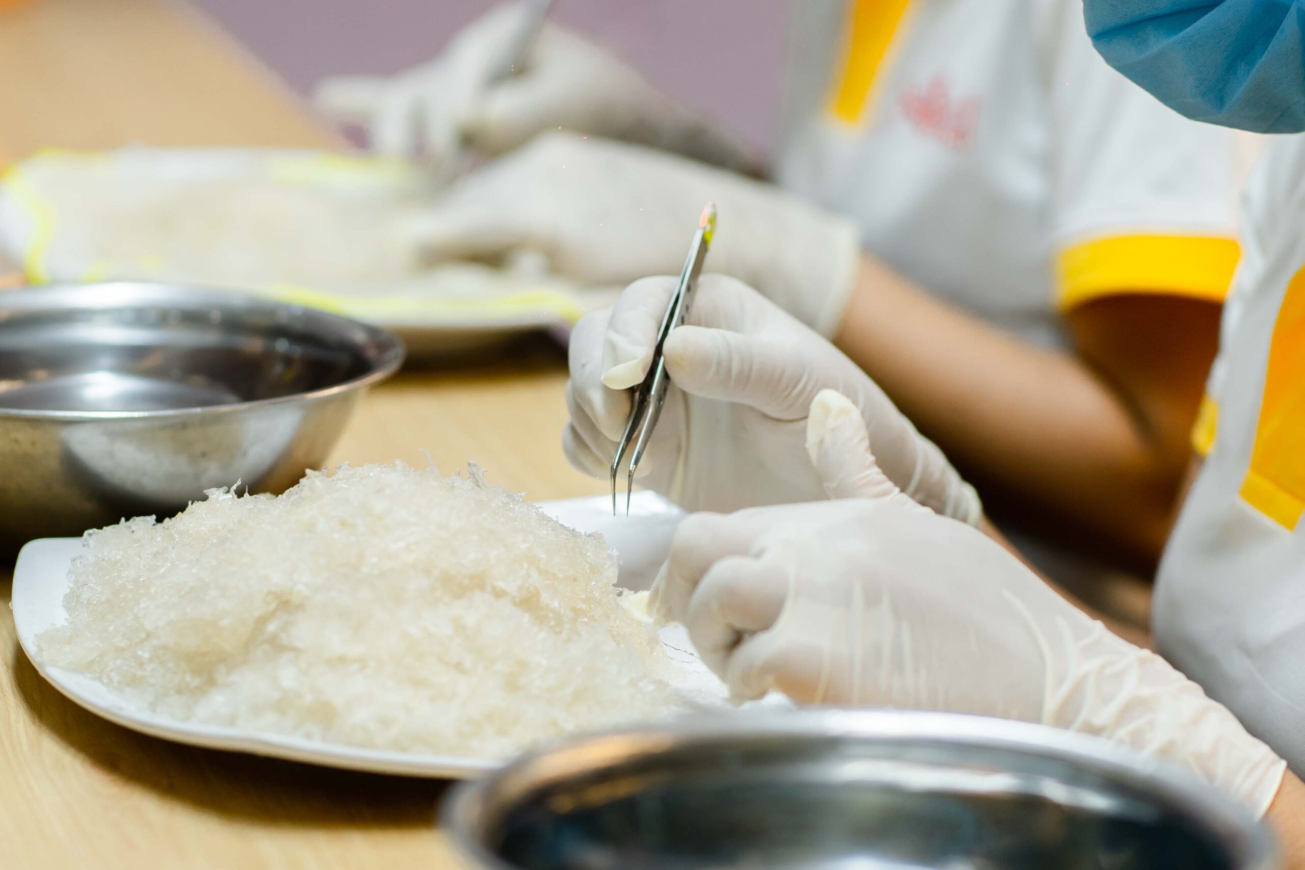 nhặt lông yến không sạch có sao không