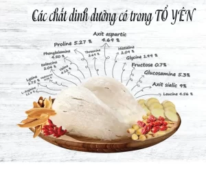 Tổ Yến – Nguồn Dinh Dưỡng Dồi Dào