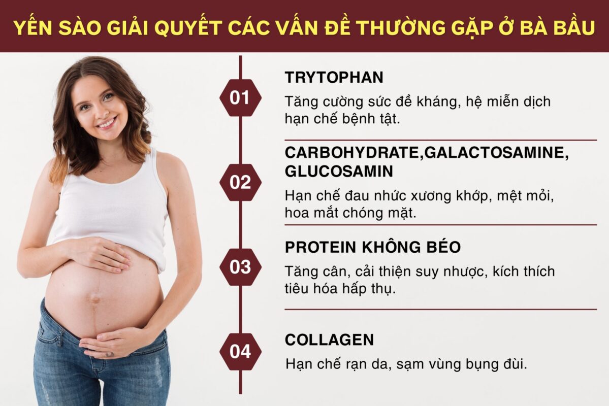 Lợi Ích Của Yến Sào Đối Với Mẹ Bầu