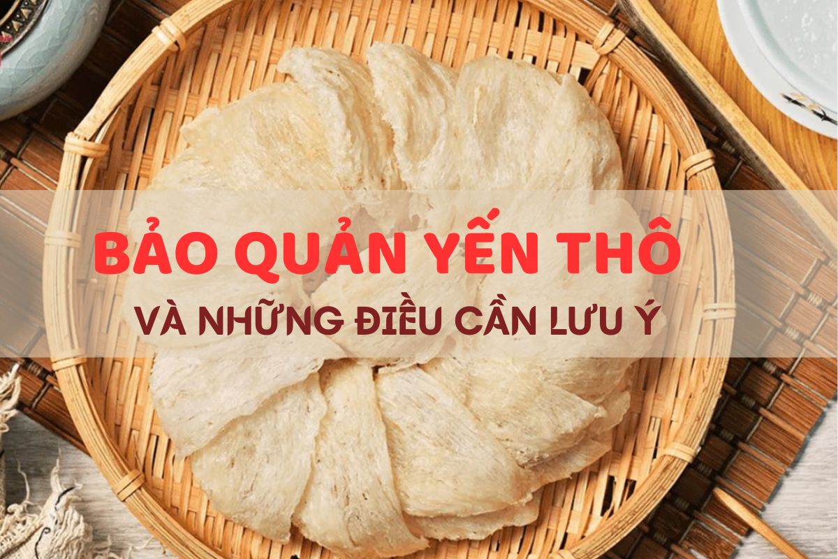 Yến thô để được bao lâu? Cách bảo quản yến thô đúng chuẩn